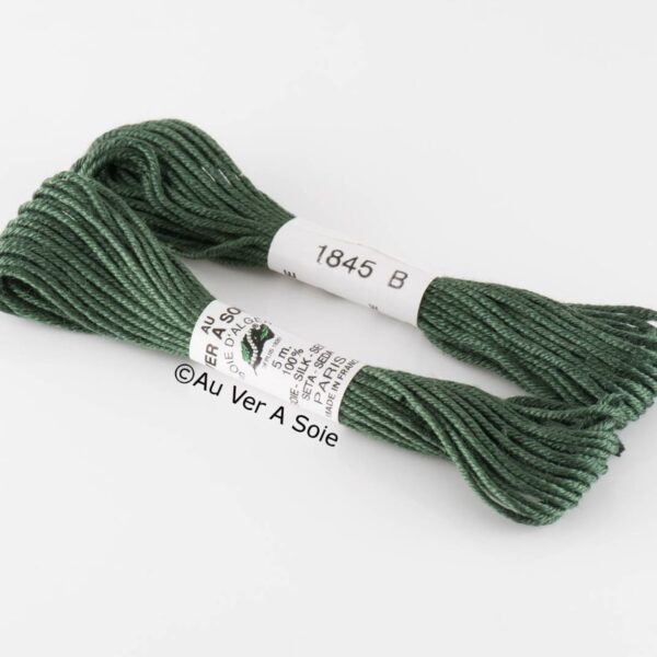 AVAS - Soie d'alger coloris 1845