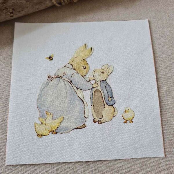 LCF - Les petits motifs à coudre Peter Rabbit , n°3