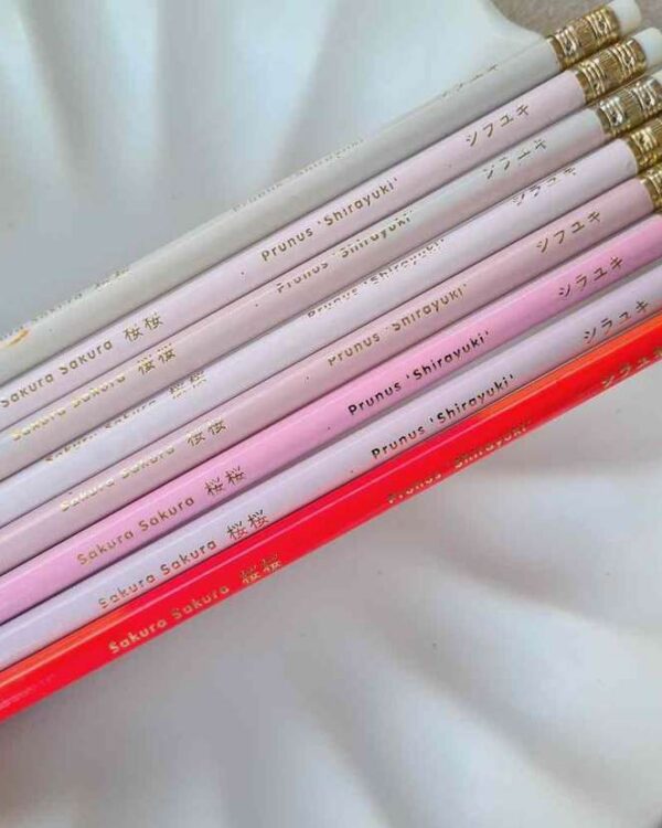Rico Design - Set de crayons All shades of Sakura