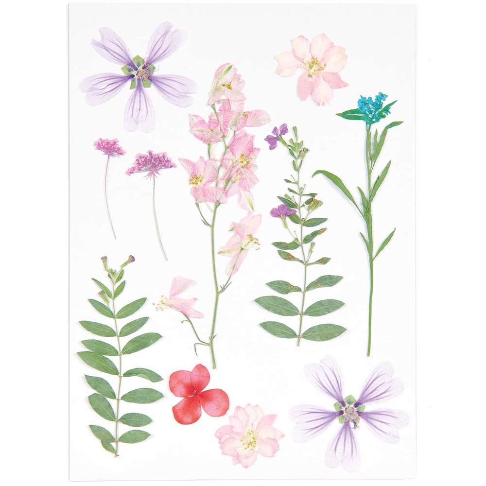 500082_1_ml Rico Design - Fleurs pressées, set mixte rose violet, 11 pcs – Image 1