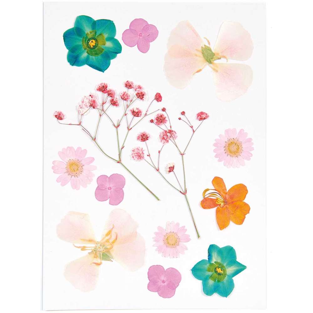500083_1_ml Rico Design - Fleurs pressées, set mixte orange turquoise, 13 pcs – Image 1