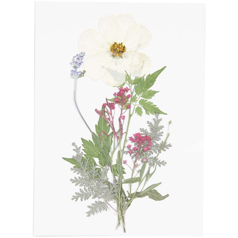 500085_1_ml Rico Design - Fleurs pressées, set mixte blanc violet, 7 pcs – Image 1