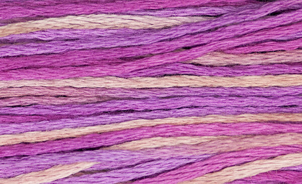 Weeks Dye Works - Azaléas