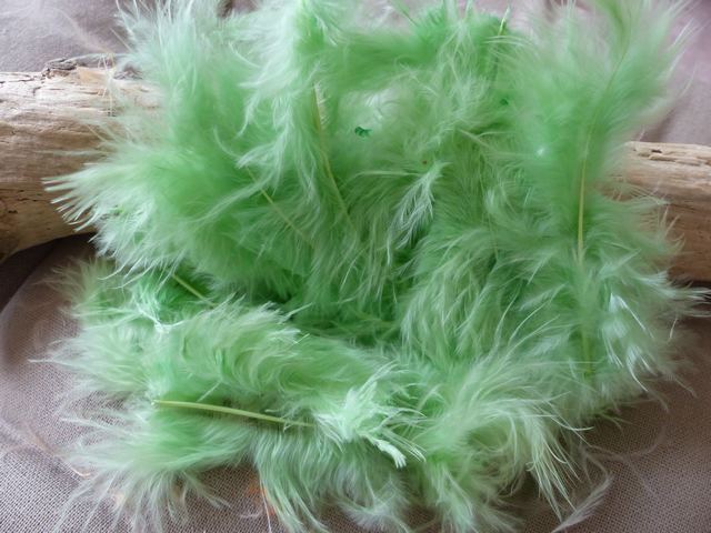 P1030782_ml KP - Plumes de Marabout 10 cm coloris Menthe – Image 1