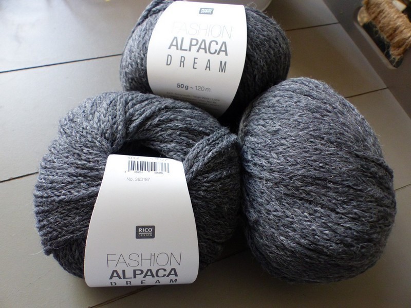 P1090753_ml Rico Design - Fashion Alpaca Dream DK Coloris Gris 010 – Image 1