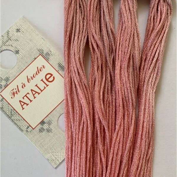 ATALIE Coton - Camelia