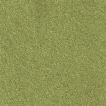 The Cinnamon Patch - Coloris Vert Tendre 77