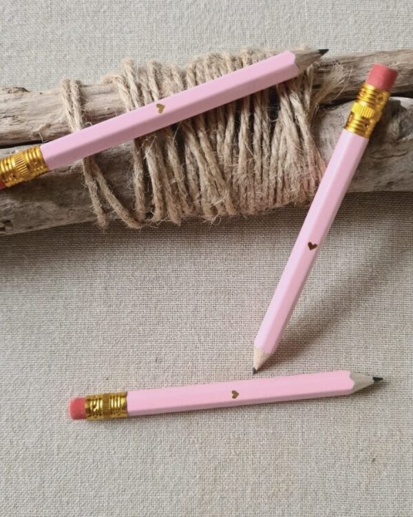 LCF - Mini Crayon Love rose