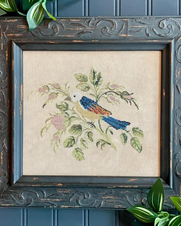 The Proper Stitcher - Bird of Bordeaux
