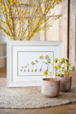 Frühblüher B/135 (Floraison précoce) - Christiane Dahlbeck – Image 9
