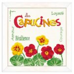 Lilipoints - Les Capucines J030