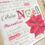 Lilipoints - L'étoile de Noël N050 – Image 5