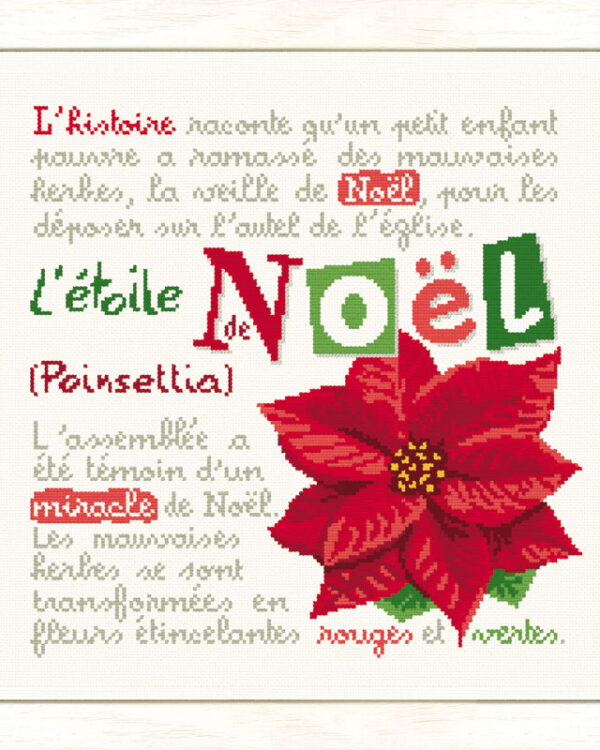 Lilipoints - L'étoile de Noël N050